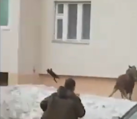 Кадр из видео в YouTube